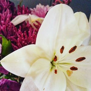 Meet your Posher, Morgan